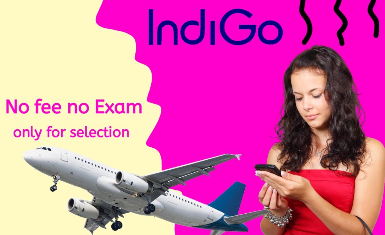 Indigo Airlines Recruitment 2024 Your Complete Guide to Jobs and Applications